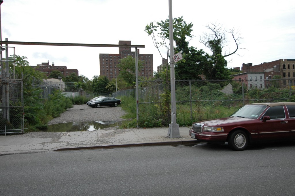 a grassy lot surrounded by chain link fence