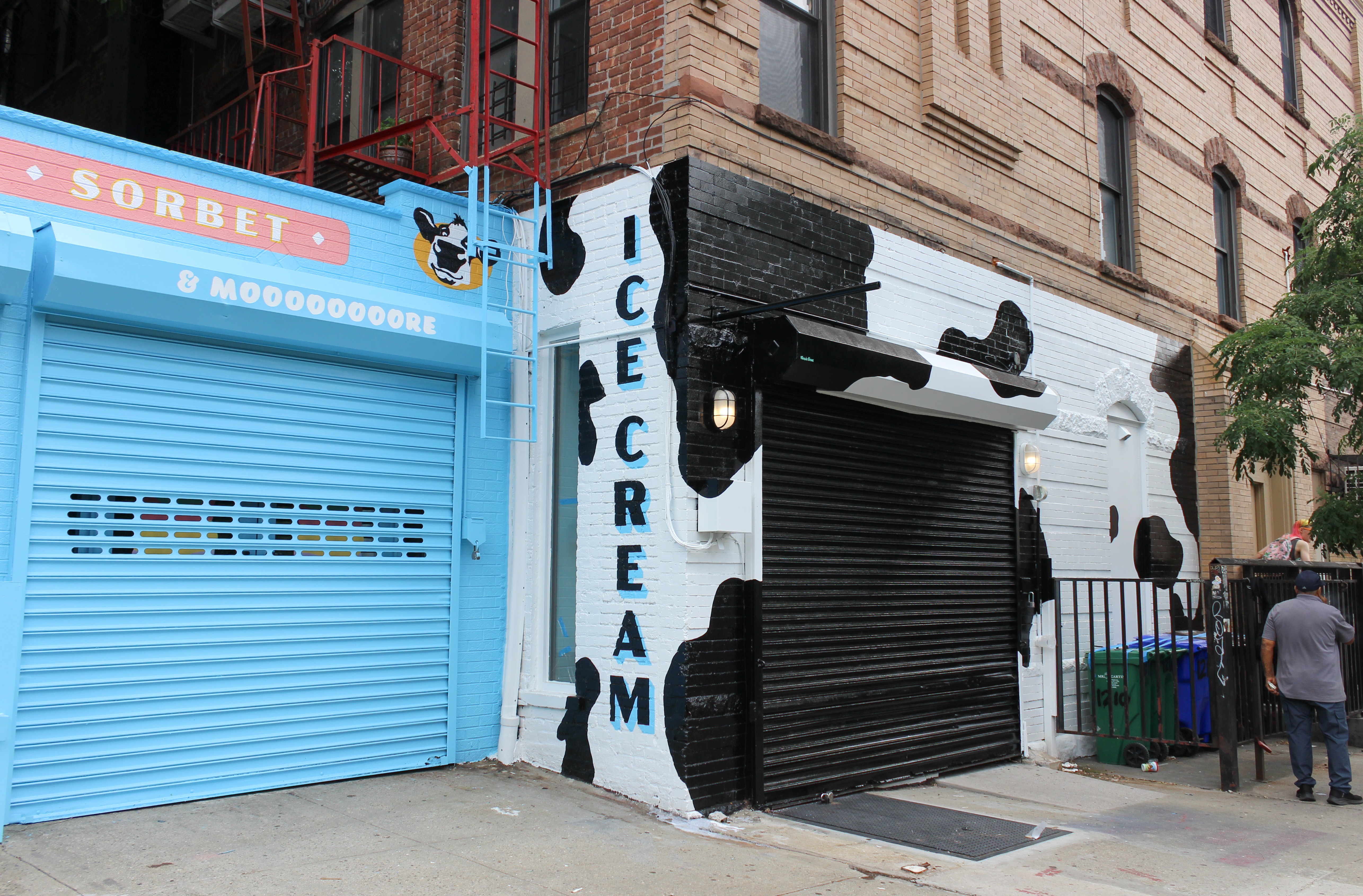 one story building painted blue and adjoining building painted with a cow pattern