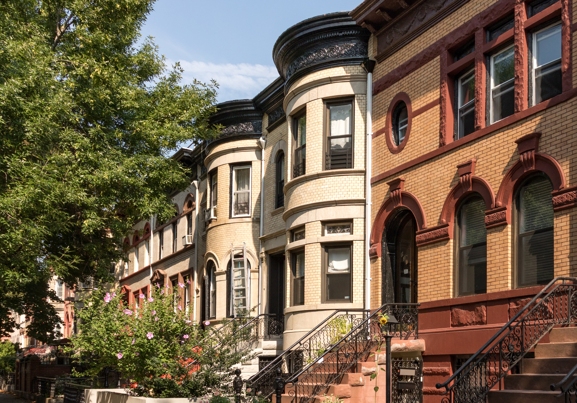 ladder leaning against a row house