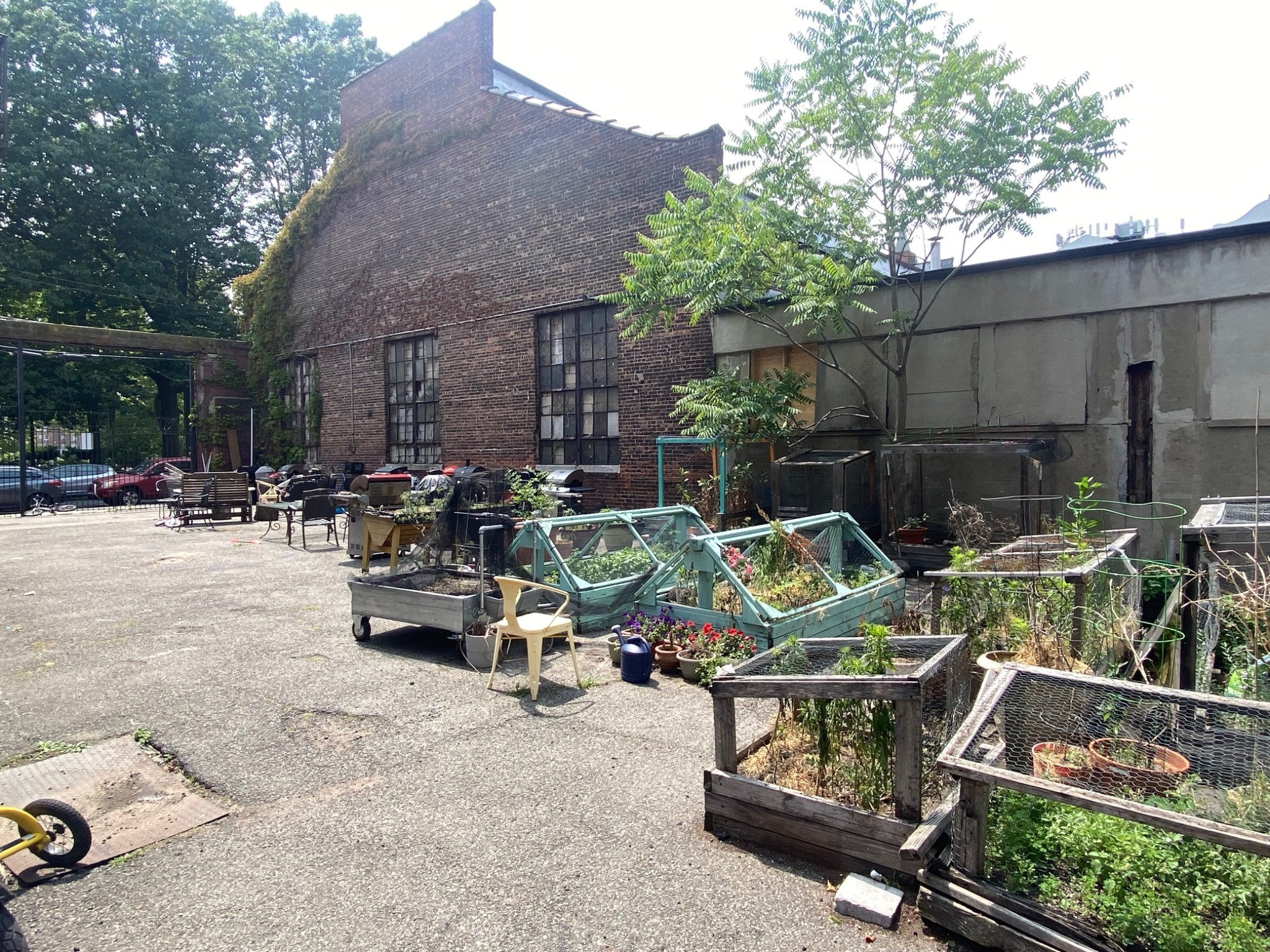 courtyard with garden beds