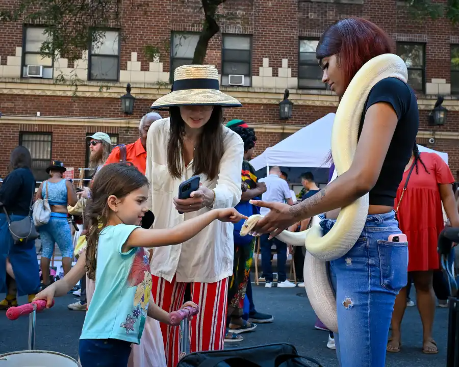 a snake