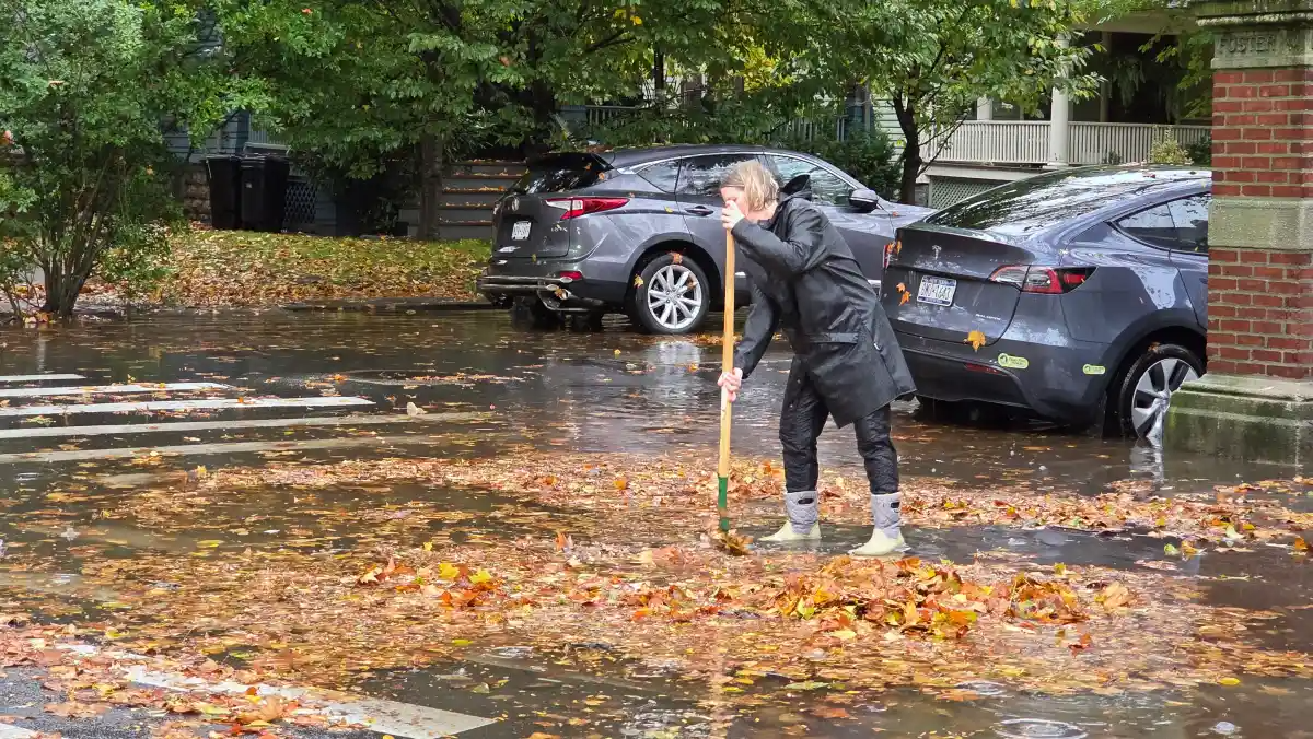 person sweeping leaves from street