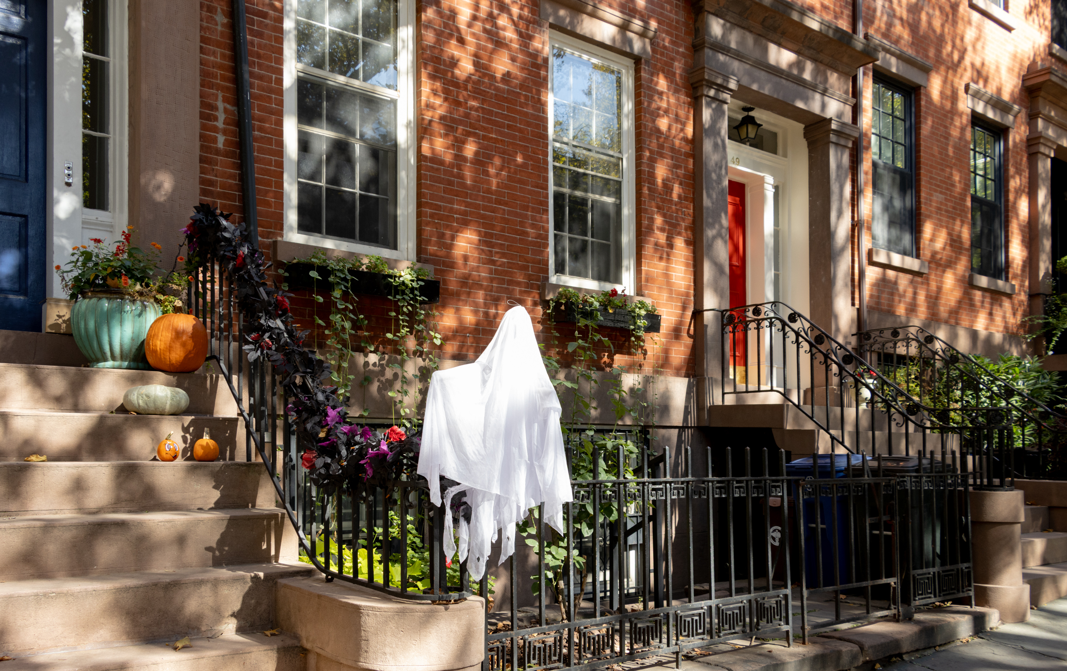 brooklyn stoops with flowers and pumpkins