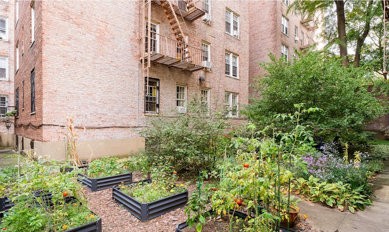 raised beds with vegetables