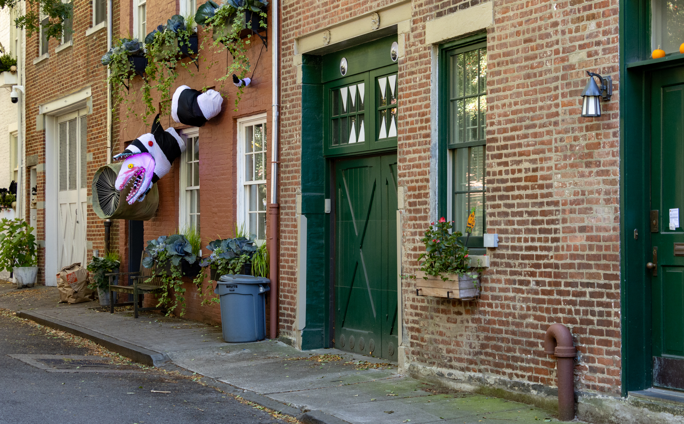brooklyn carriage houses with halloween decorations