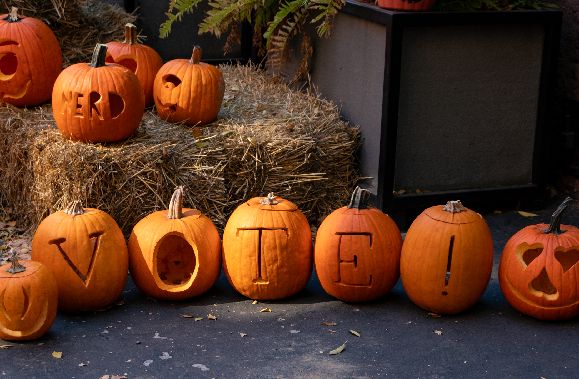 pumpkins carved to spell out vote