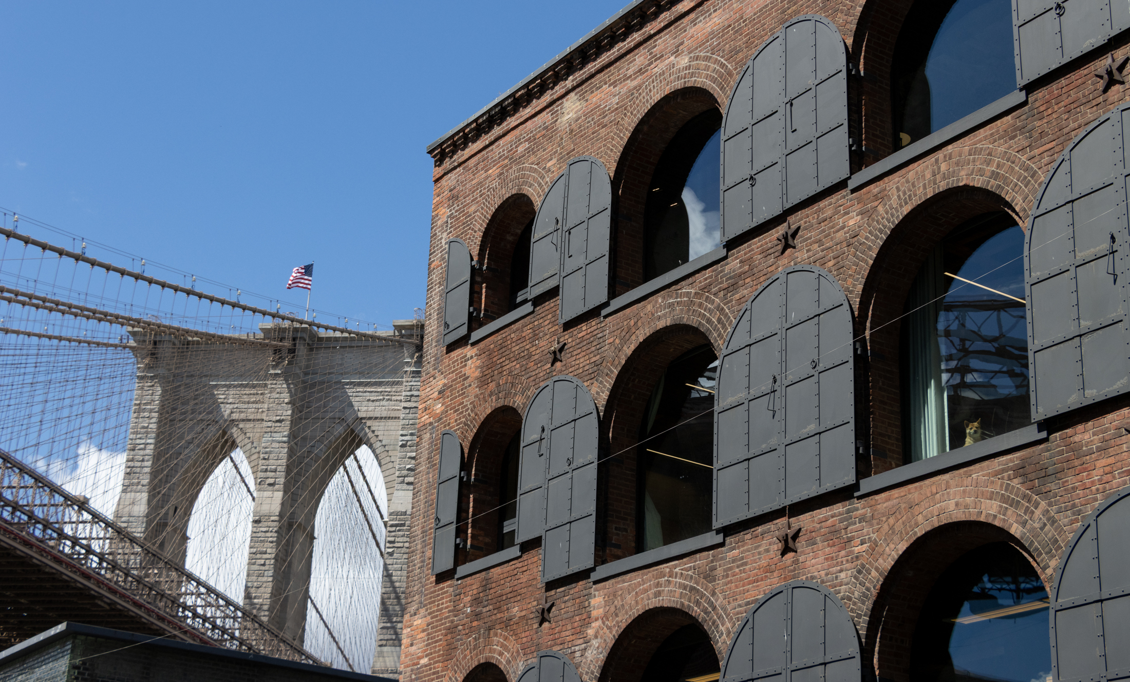 brooklyn bridge and the warehouse known as empire stores