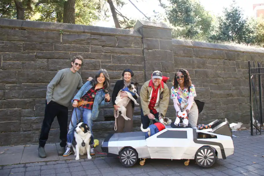 miniature car and dogs