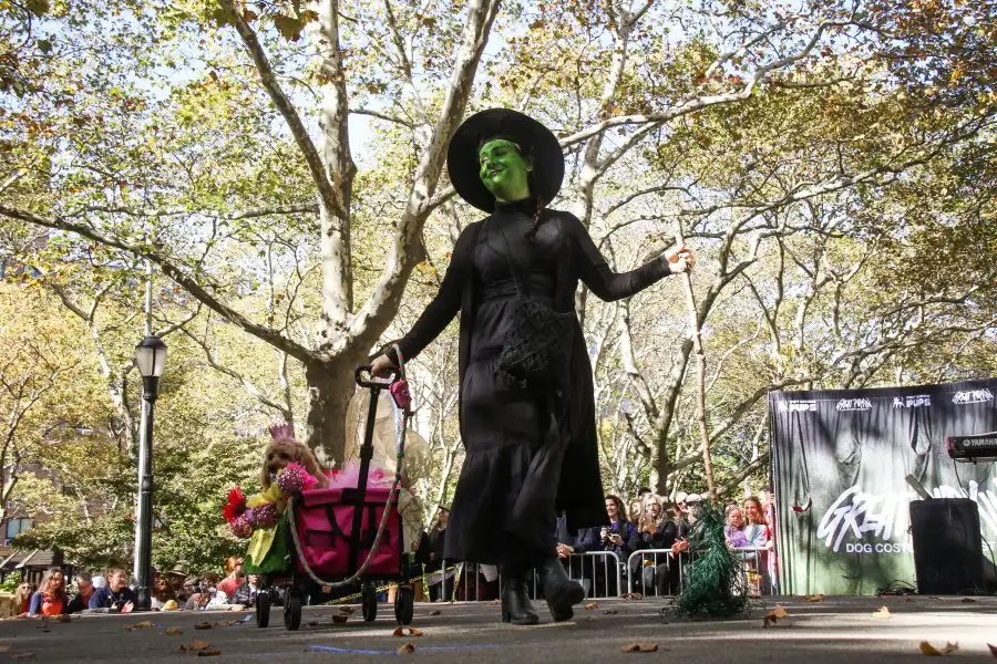 wicked witch and glinda costume