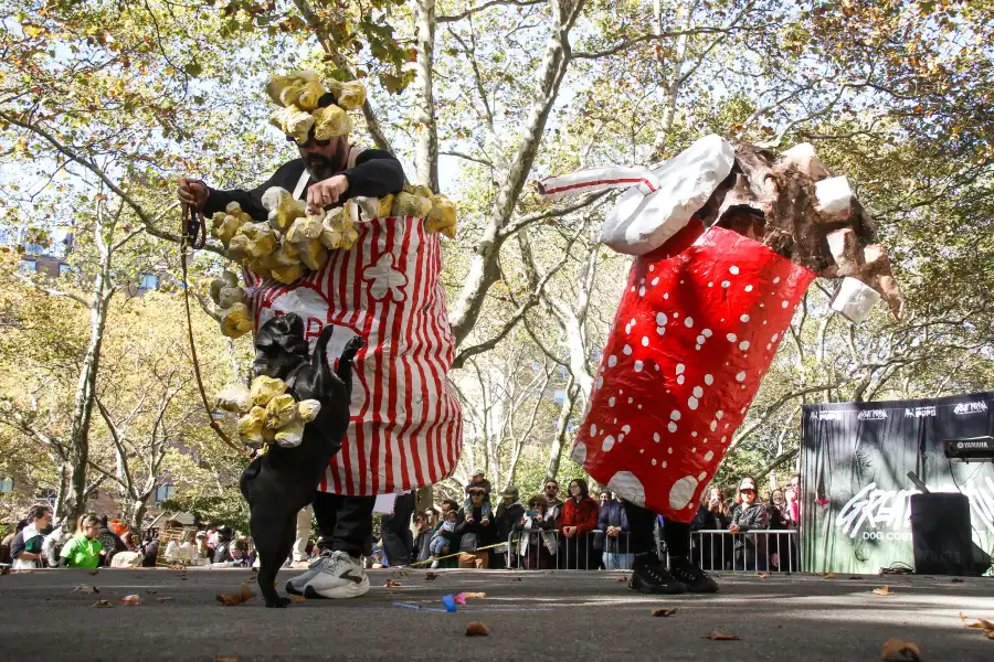 popcorn and soda costumes