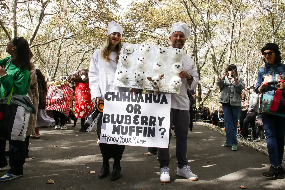 dog as a blueberry muffin meme