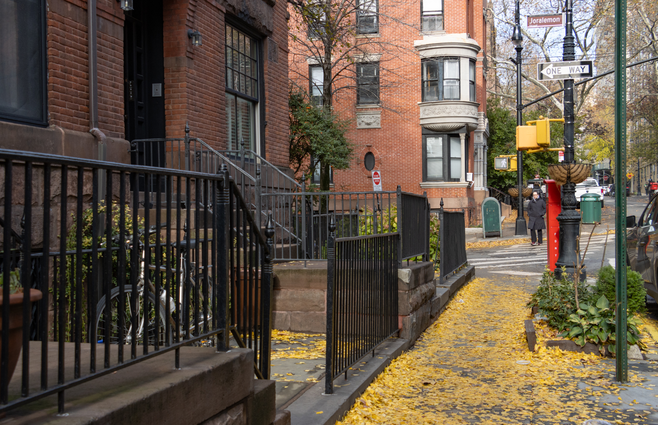 fall leaves on a sidewalk in brooklyn heights
