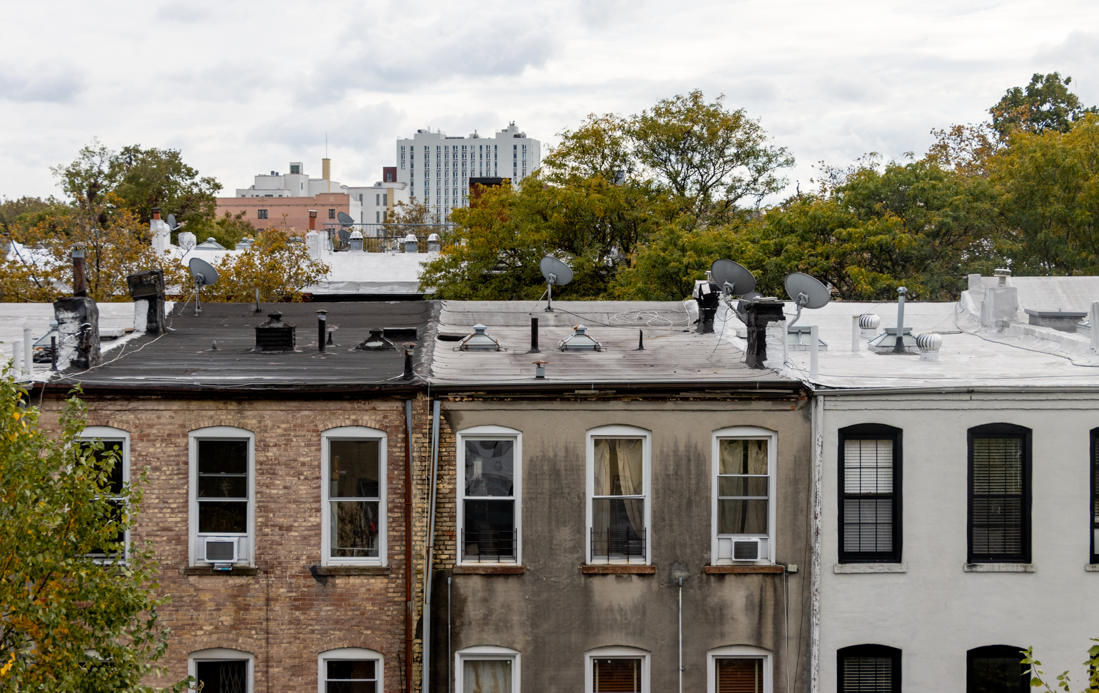brooklyn rooftops