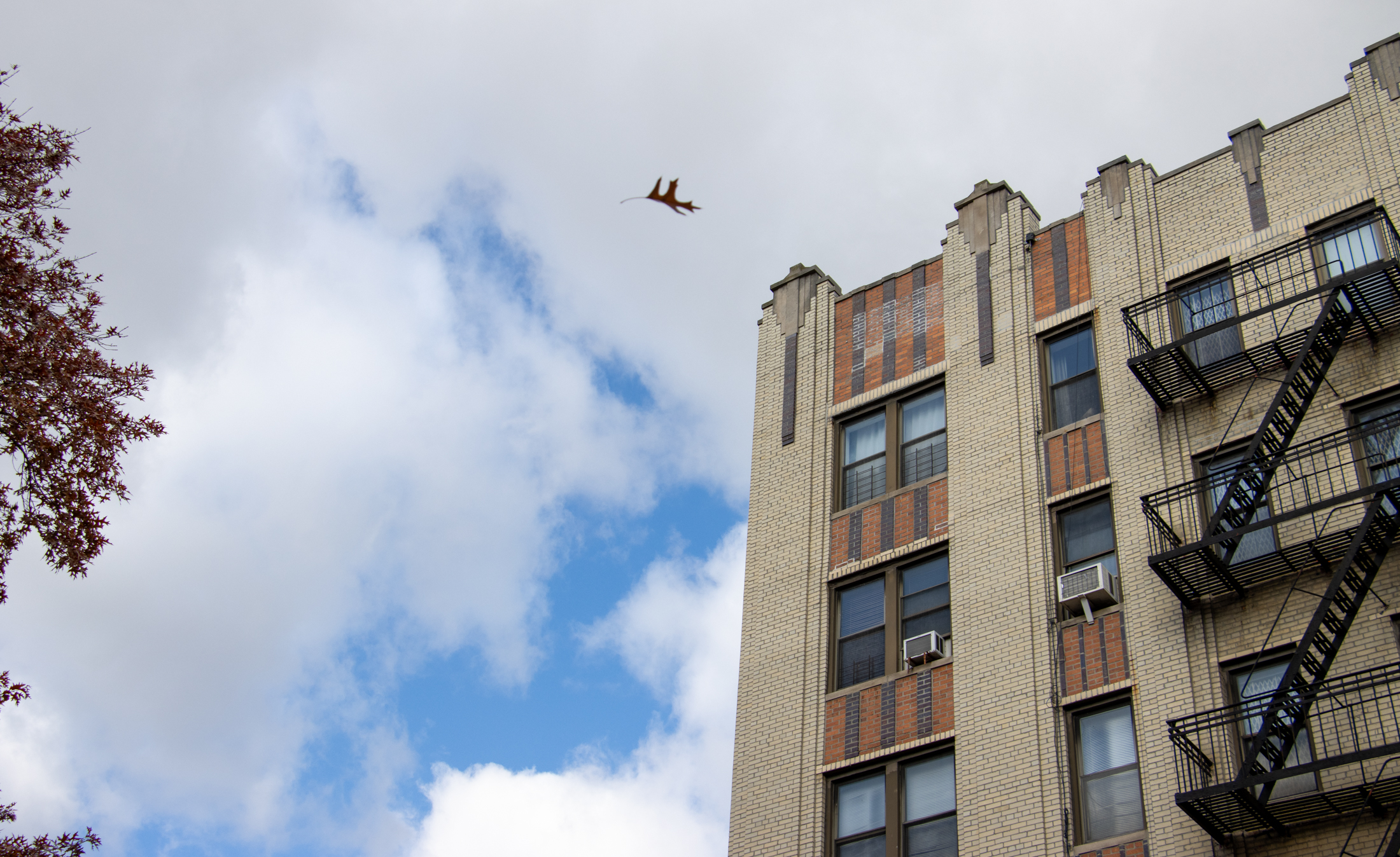 a falling leaf and an art deco style apartment building