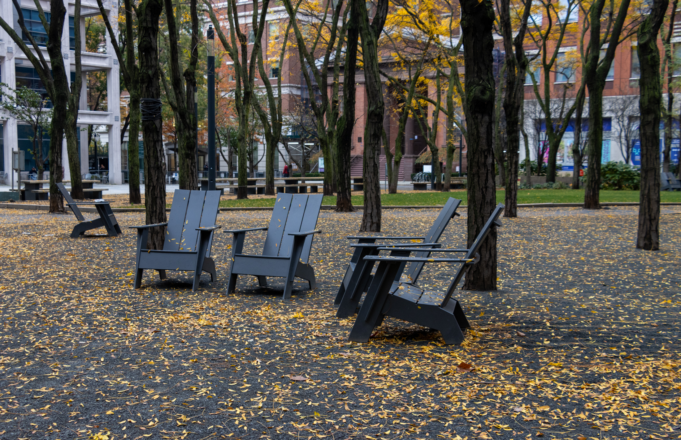 empty chairs in metrotech with fall leaves on the ground