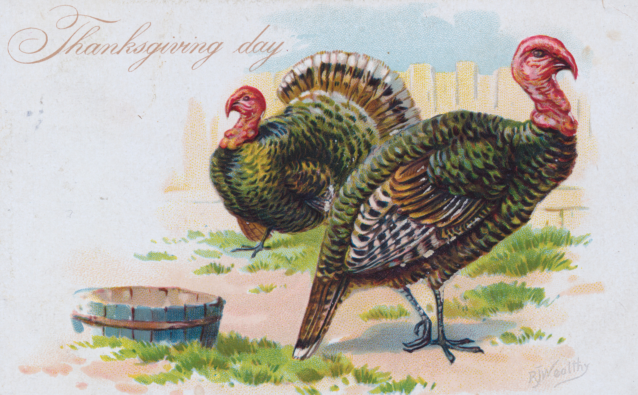 turkeys on a vintage postcard