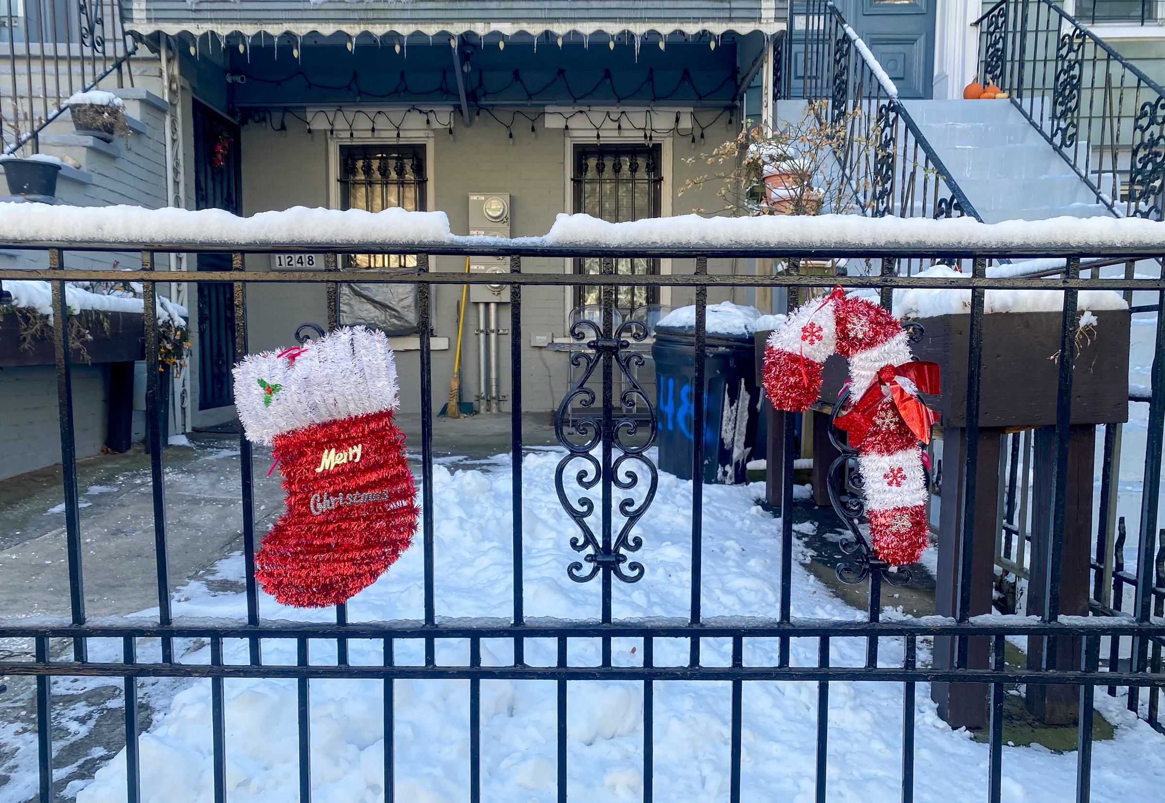 christmas decorations on a fence in Bushwick