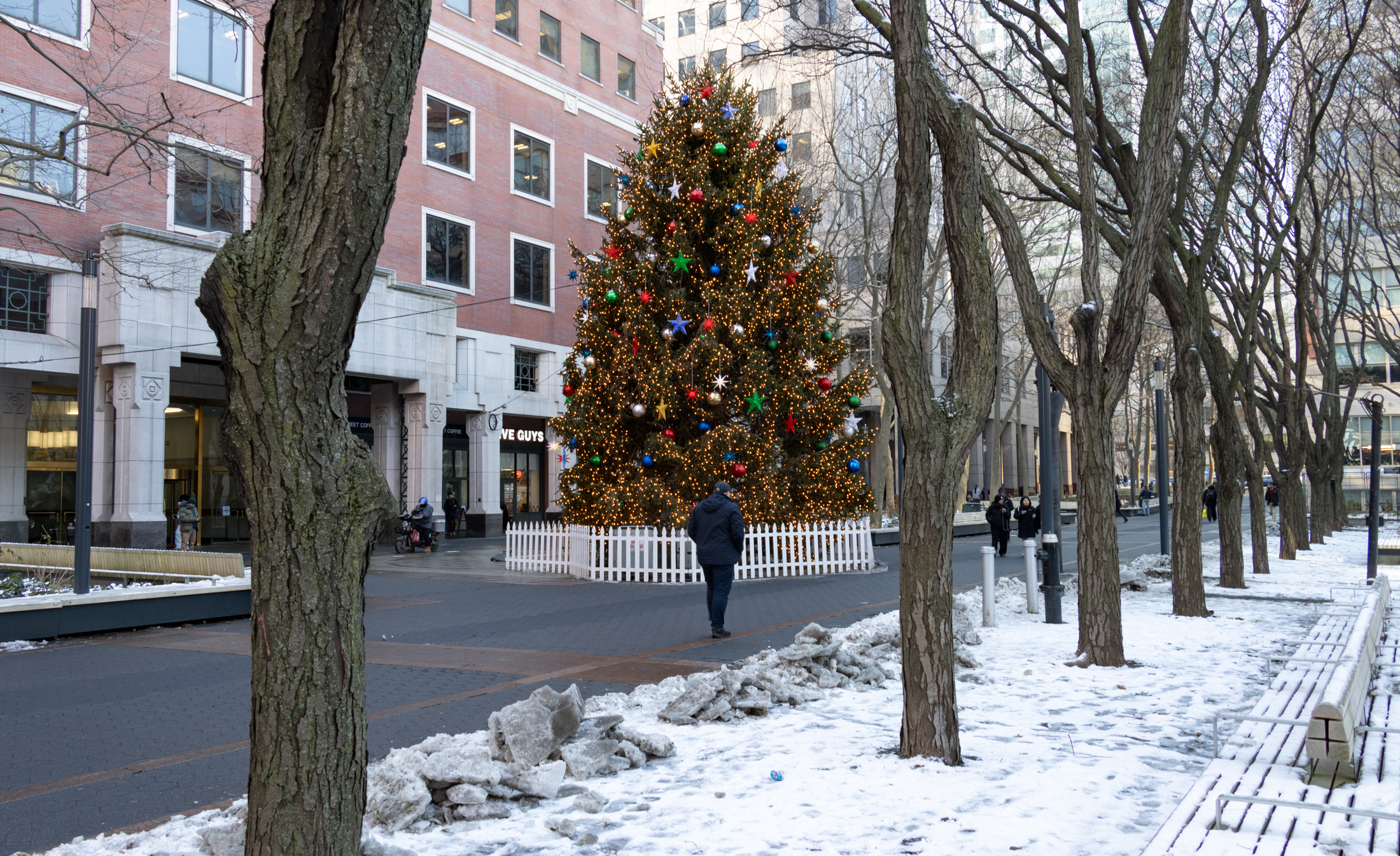 a christmas tree in downtown brooklyn