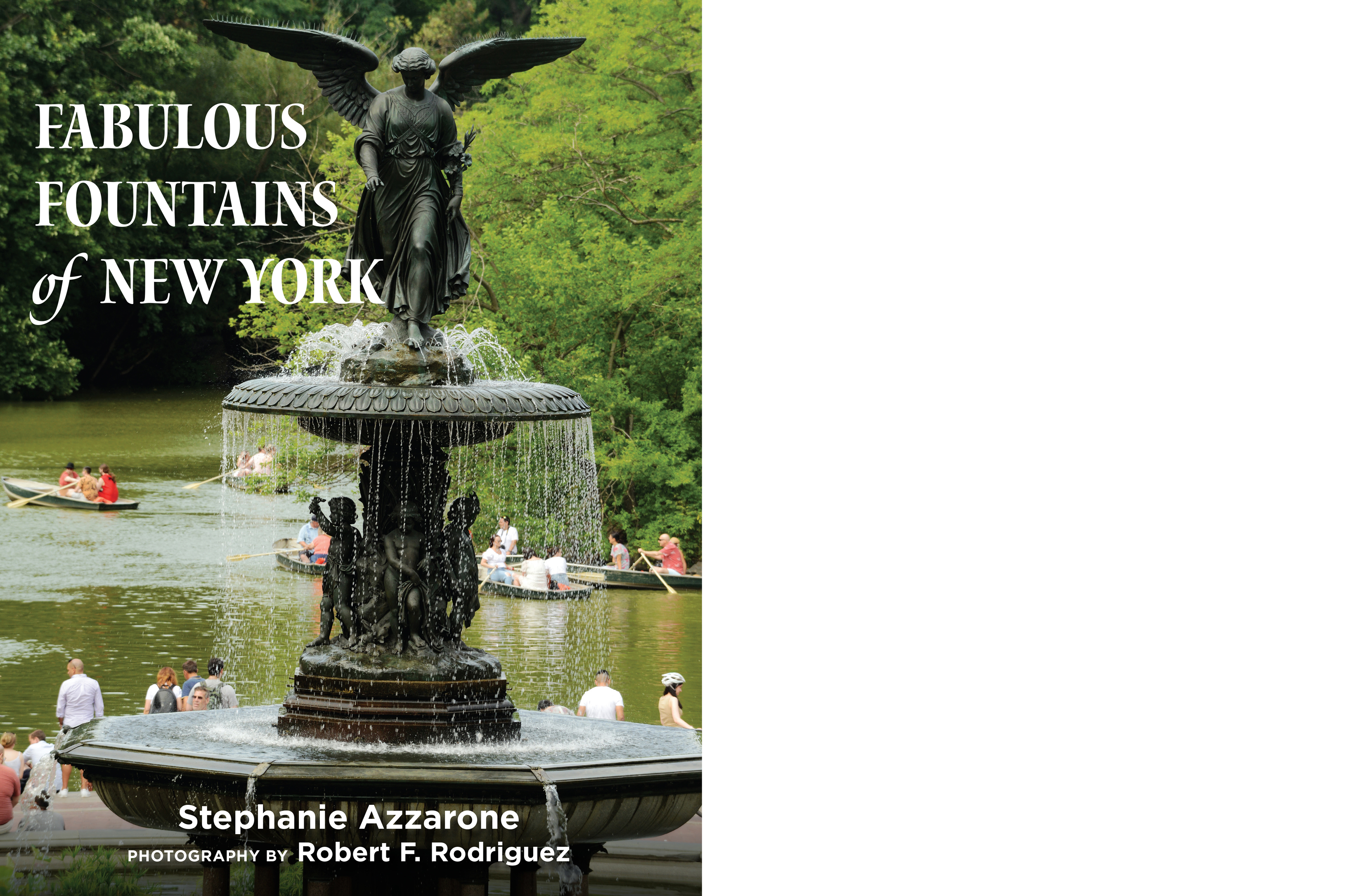 fountain on a book cover