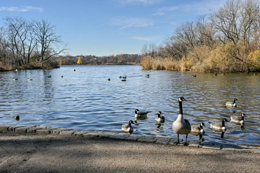 lake in prospect park
