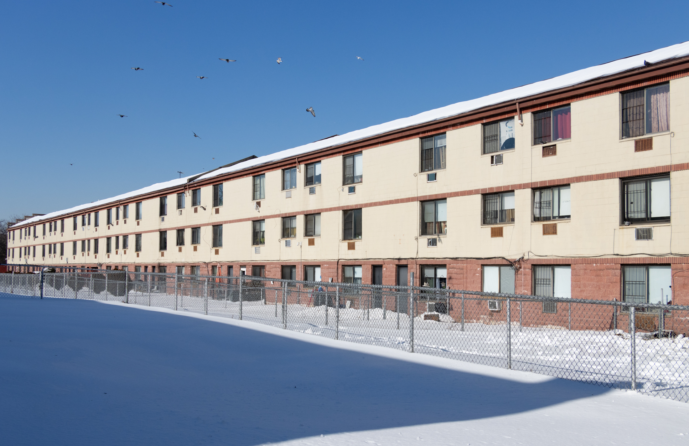 the rear facades of fulton street facing low scale housing with a snow courtyard