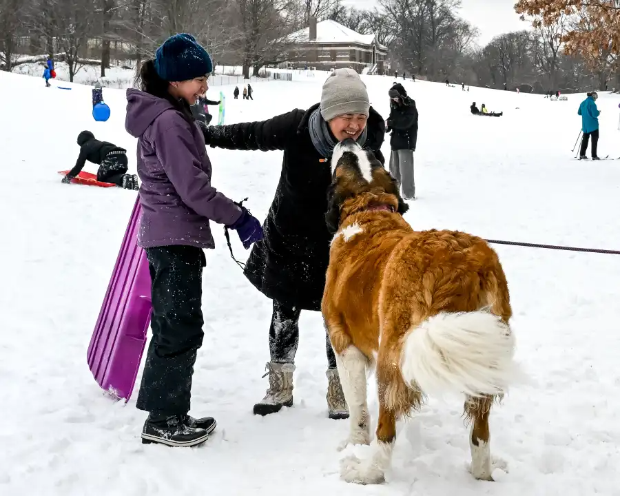 people and a dog in the snow
