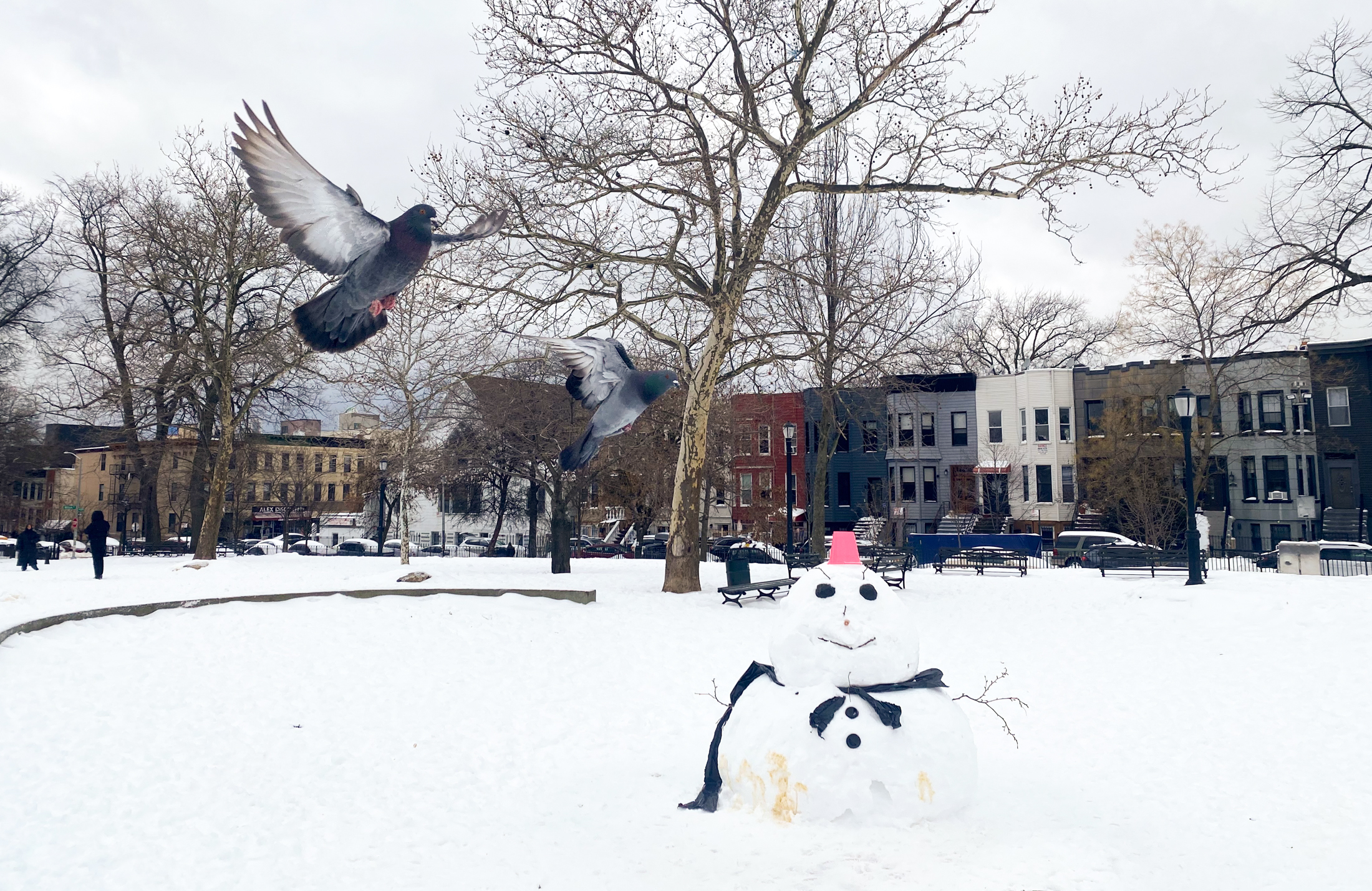 pigeons and a snowman