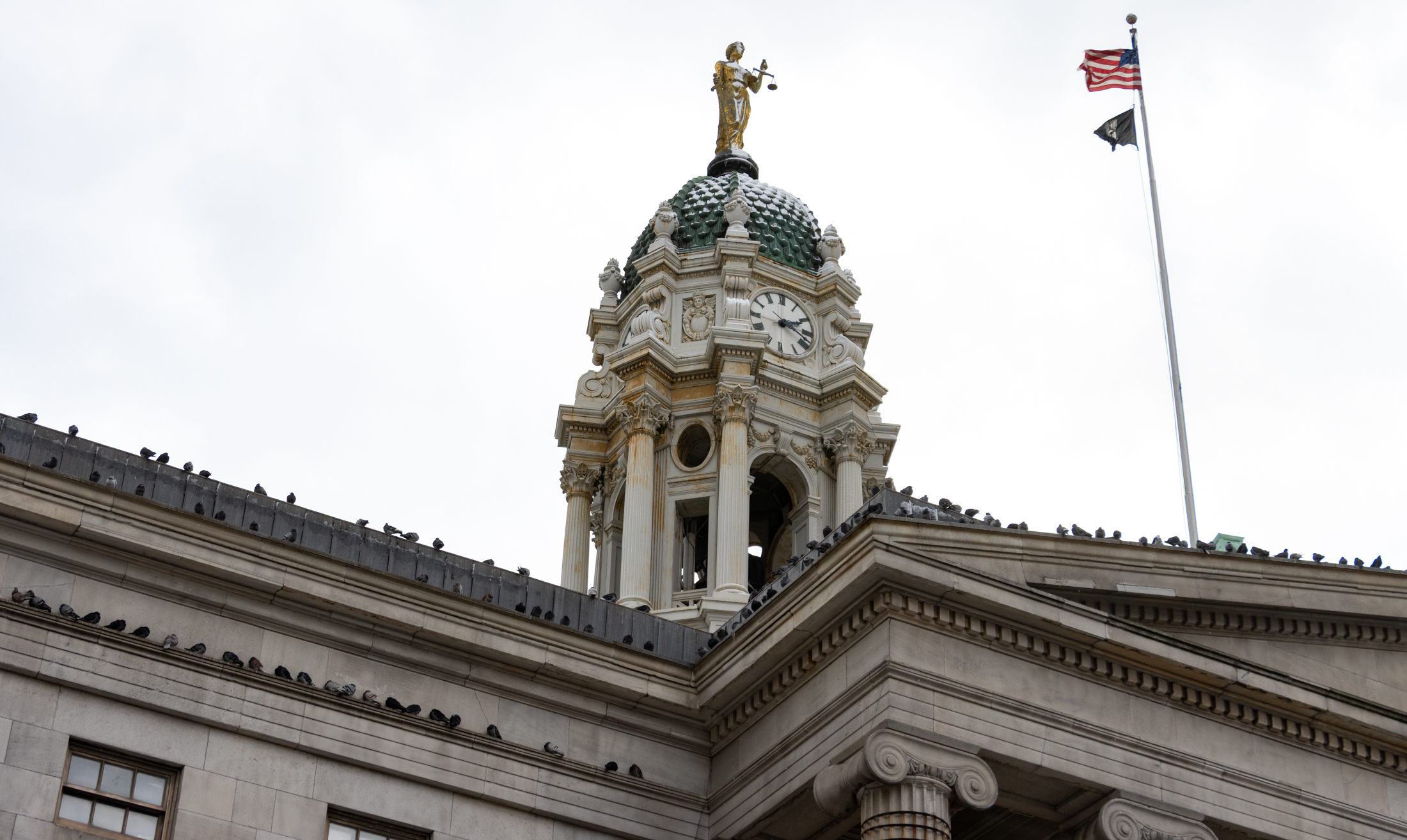 borough hall with pigeons and snow