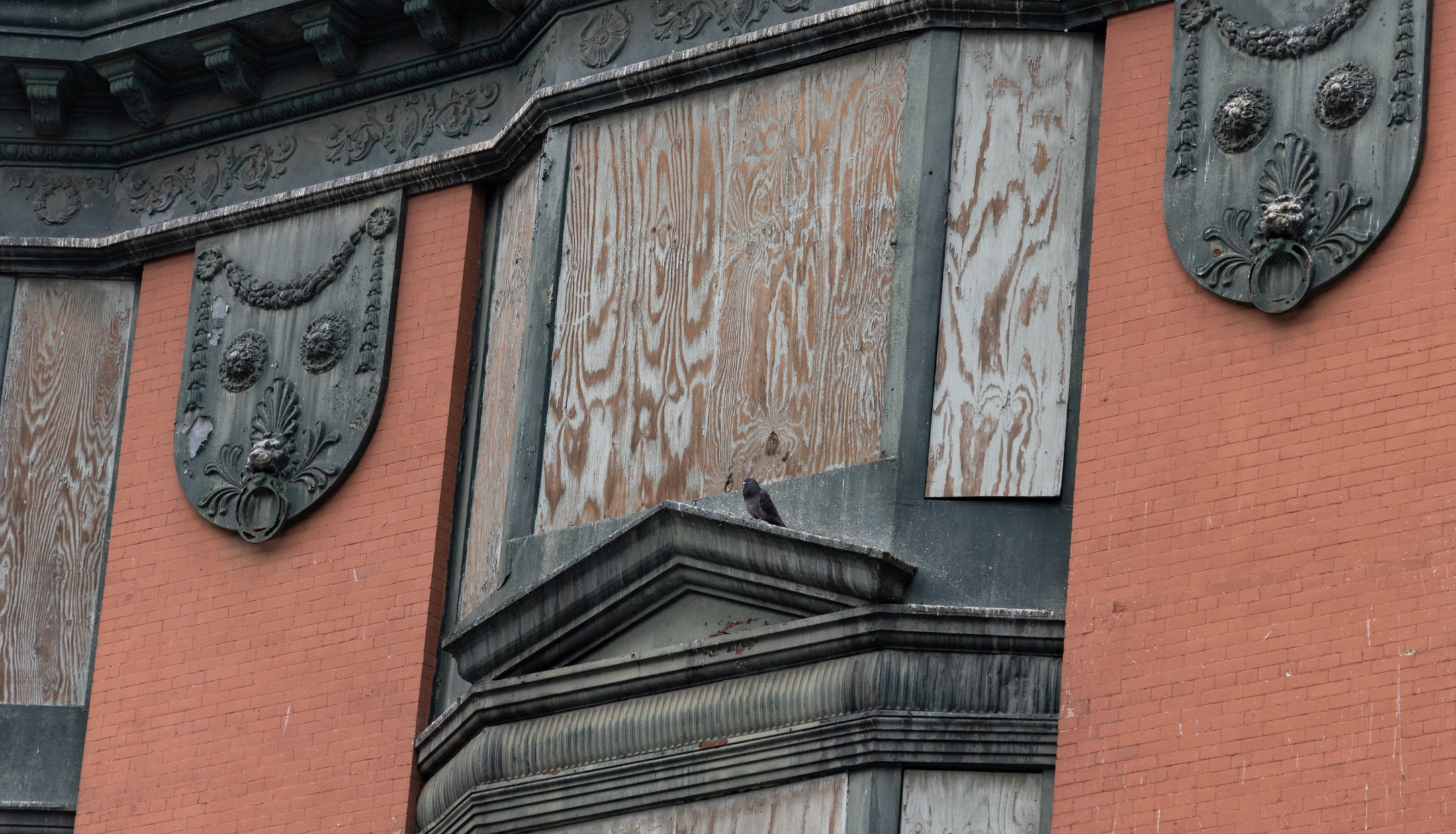 pigeon perched on a building with boarded up windows