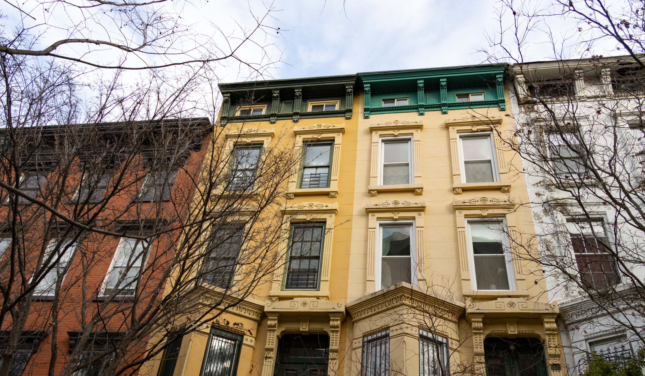 colorful rowhouses in fort greene
