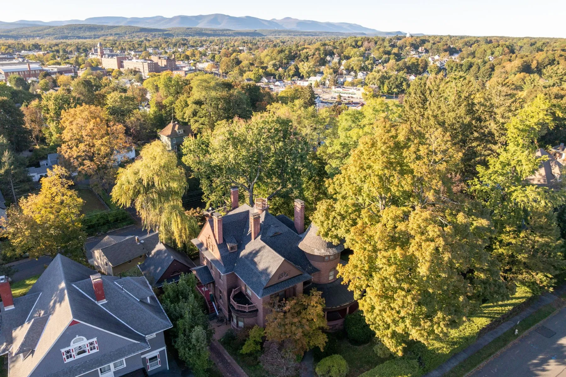 aerial showing tree-filled lot with shrub border fronting the sidewalk