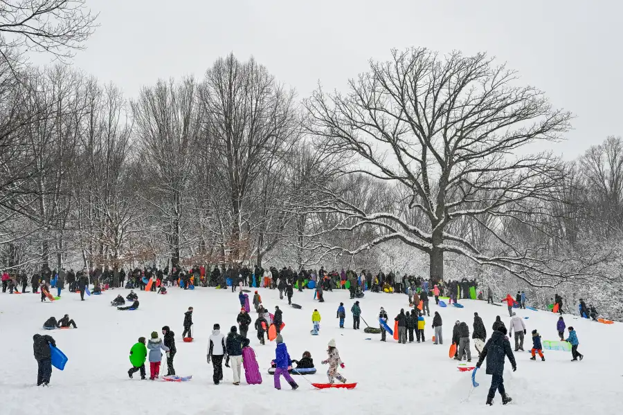 people playing in the snow
