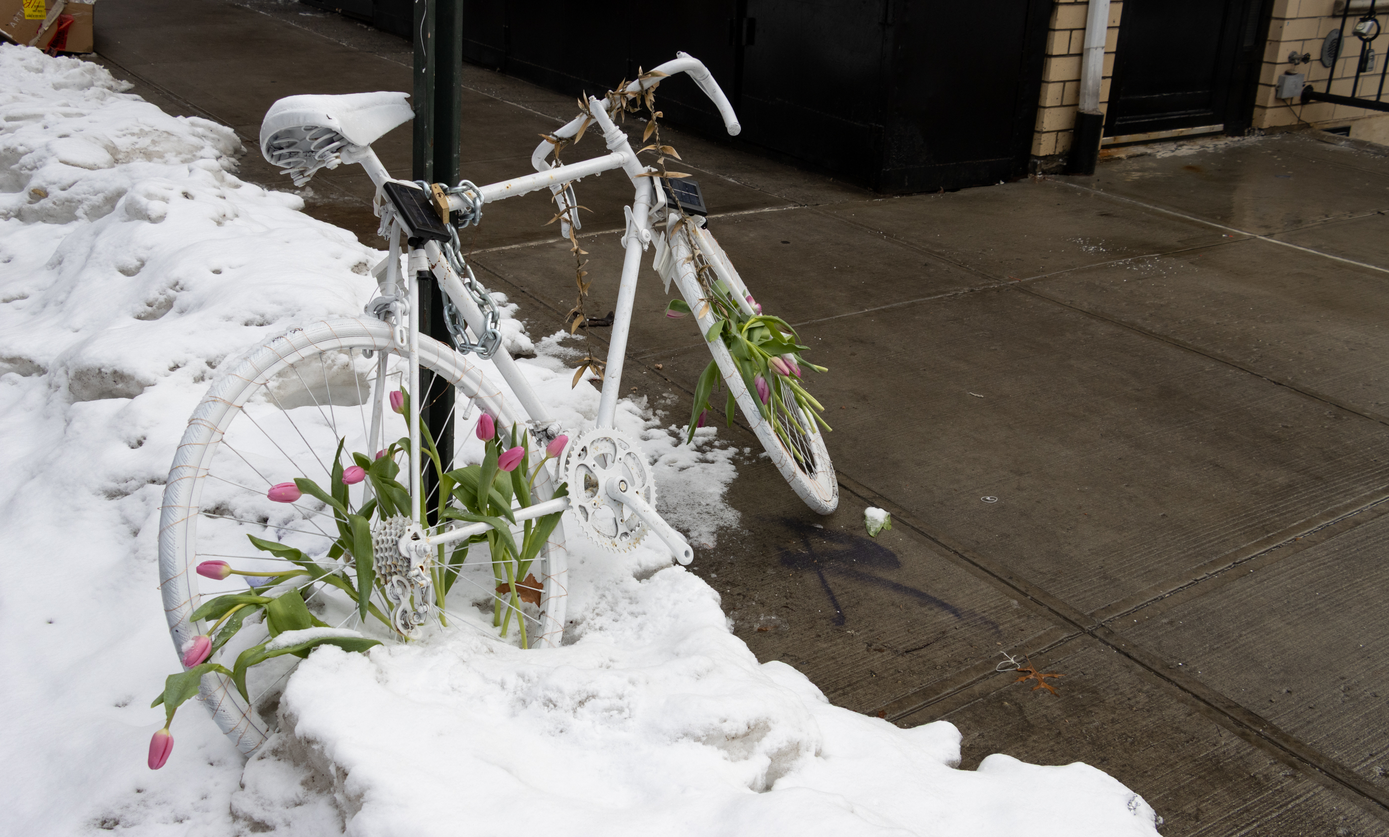 a ghost bike with tulips