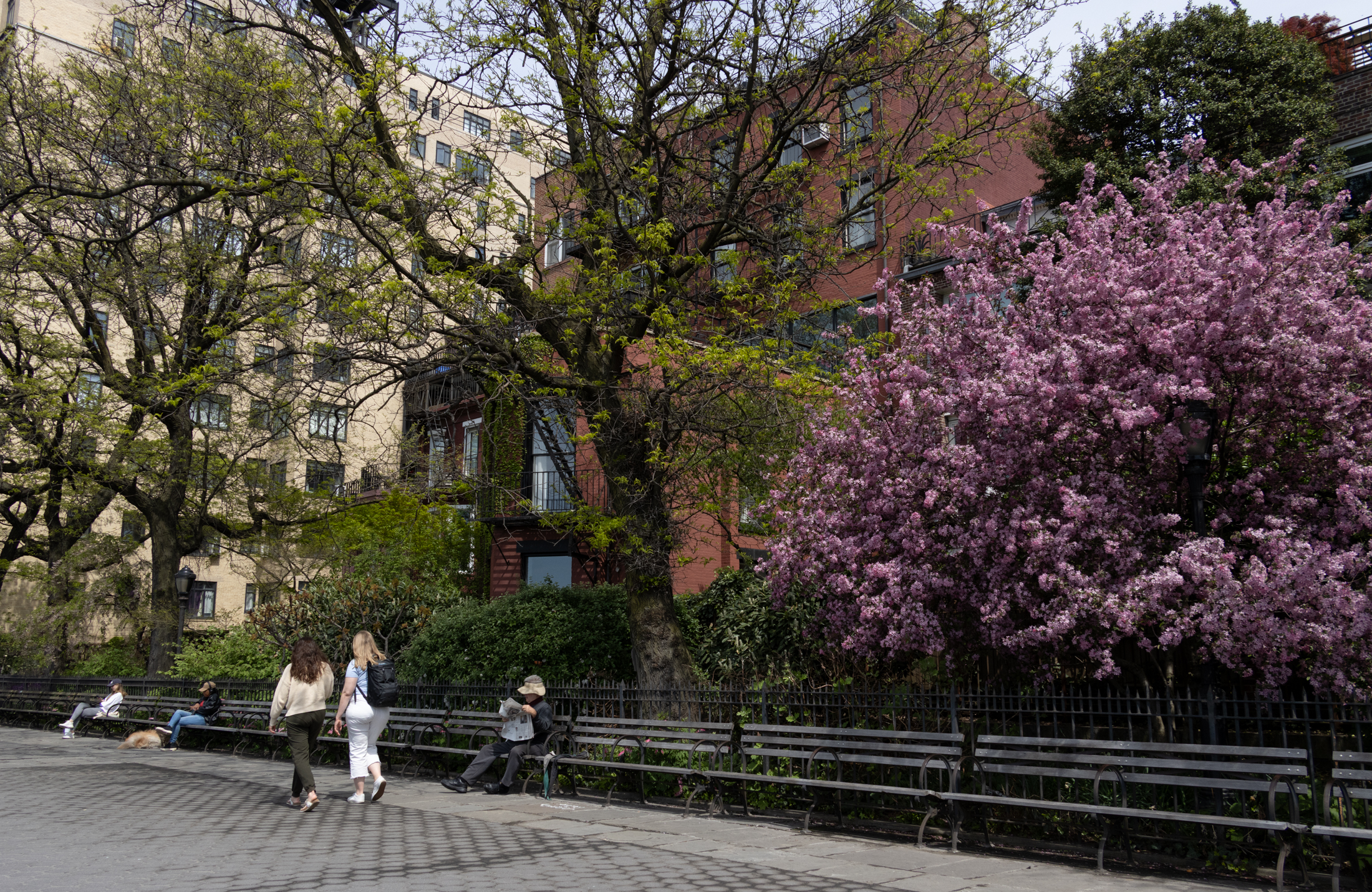 brooklyn - people walking on the brooklyn heights promenade
