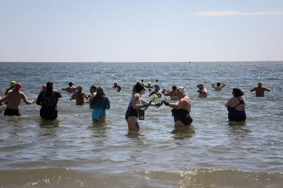 people swimming