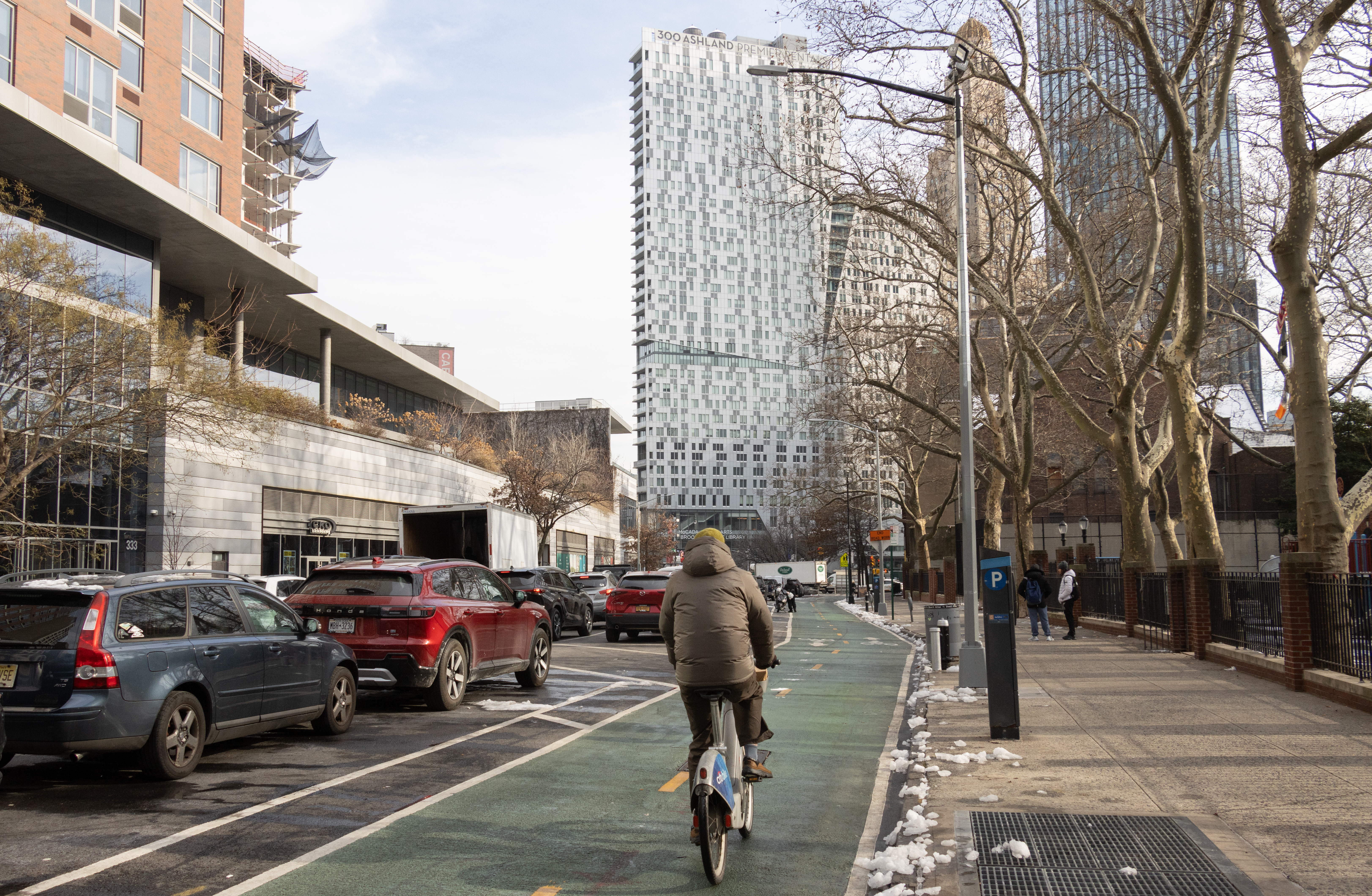 cyclist in a bike lane