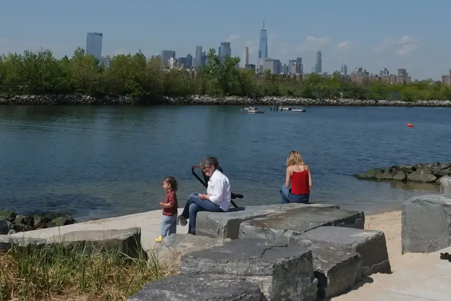 people in a park