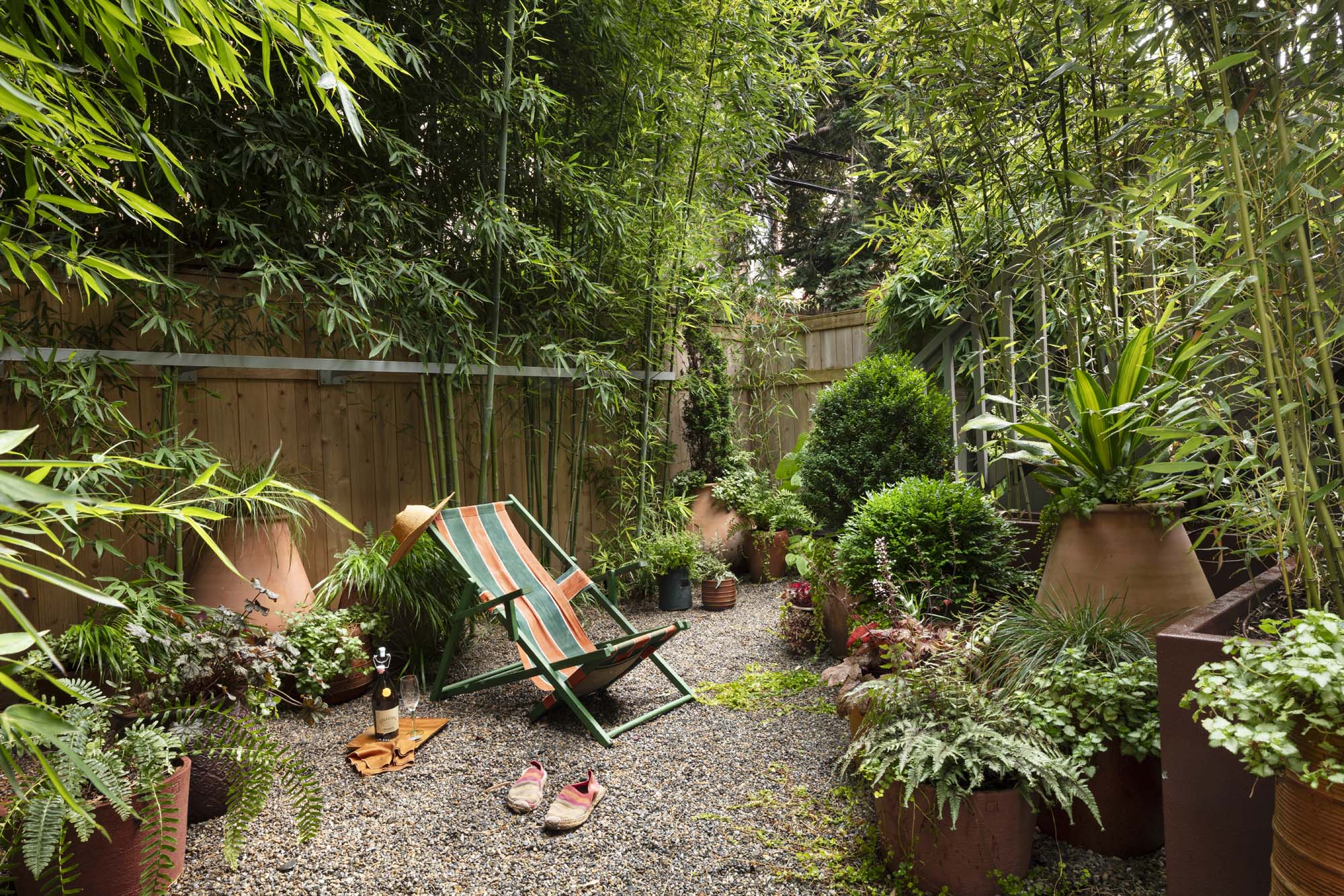 OVERALL BAMBOO GARDEN WITH GRAVEL PAVING